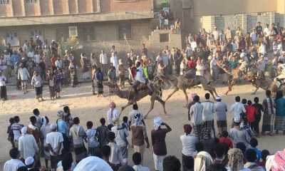 اعتبارها أنموذجاً للسلام، تريم تحيي أكبر سباق للهجن على مستوى جزيرة العرب