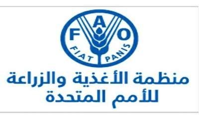 الفاو تعقد اجتماع لمناقشة خطة عمل لمشروع مجتمعي بحضرموت