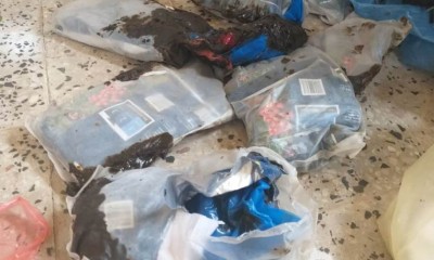 ضبط كميات من الحشيش والمخدرات وقطع سلاح غرب المكلا