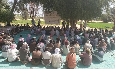 وكالة تنمية المنشآت تنفذ يوم حقلي للمزارعين بقطن حضرموت