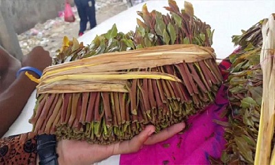 اعتبارا من غد الخميس وزارة الصحة تقرر اغلاق اسواق القات بعموم المحافظات