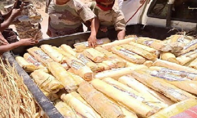 النخبة الحضرمية تضبط شحنة قات مهربة بدوعن