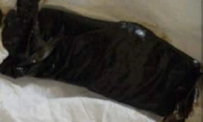 نقطة عسد الفاي تضبط سيارة على متنها شخص بحوزته كمية من الحشيش وعدد من البطائق الشخصية