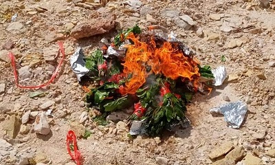 إفشال تهريب كمية من القات داخل كراسي سيارة بنقطة كيلو 90 عقبة العرشة