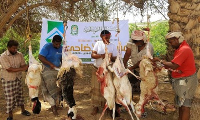 موسسة المبره التنموية تنفذ مشروع الأضاحي لهذا العام 1441هـ