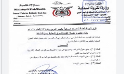 ضوابط صارمة لدخول شركات شراء الأسماك إلى حراج المكلا