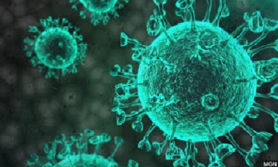 صحة ساحل حضرموت يرصد حالتين إصابة بفيروس كورونا في المكلا