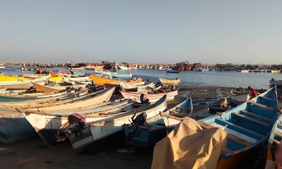 مدير مراكز الإنزال السمكي بميناء الشحر:عام 2021 لدينا خطط ومقترحات جديدة وسوق مركزي للأسماك
