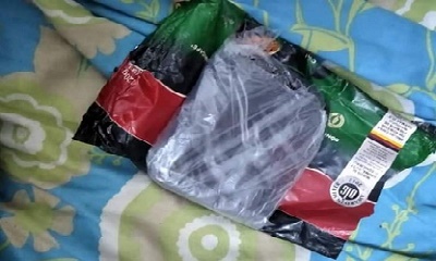القبض على مروج حشيش بمدينة المكلا