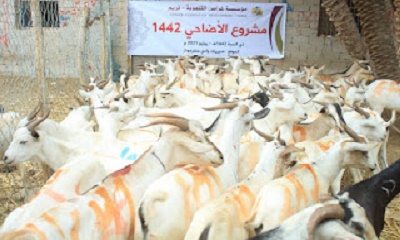 غراس تختتم مشاريع عيد الأضحى بحوالي 40 مليون في عموم مديريات وادي حضرموت