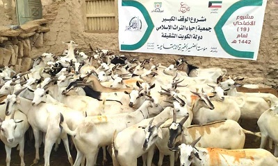 استفاد منها 3095 اسرة بوادي وساحل حضرموت من مشروع اضاحي العيد لمؤسسة الضمير الخيرية الاجتماعية للعام 1442هـ