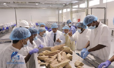 رئيس الهيئة العامة للمصائد السمكية في البحر العربي يطلع على أعمال التشغيل التجريبي لخطي الإنتاج والتعليب بمصنع الوطنية