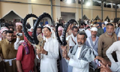 بحضور جموع غفيرة من مديريات وقرى وادي حضرموت .. قرية اللسك تحتفي بعودة رجال القناصة واحياء الموروث الشعبي القديم
