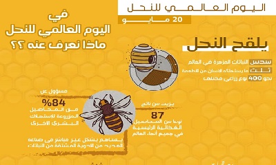 مؤسسة حضرموت للإعلام والتنمية تدعو منظمتي FAO و الـ WFP للإهتمام بالخصائص الغذائية والبيلوجية للنحل و العسل الحضرمي