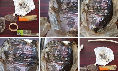 الأجهزة الأمنية بالشحر تضبط 3 أشخاص في أحد الفنادق بحوزتهم قطعة من الحشيش وأدوات التعاطي
