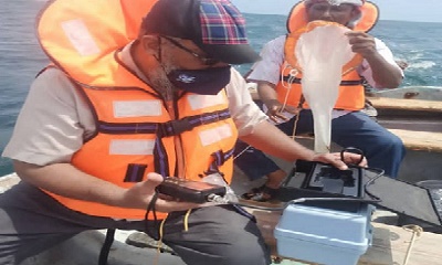 التقرير الأولي للفريق البحثي بجامعة حضرموت حول ظاهرة التغير المفاجئ في مياه البحر