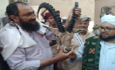 منطقة الغرفة تشهد عودة قنيص الوعال بعد غياب دام قرابة 33 عام