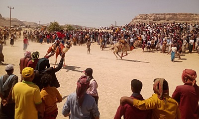 منطقة قسم شرق تريم تشهد سباق الهجن التقليدي السنوي لعام 2023