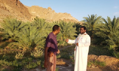 نائب مدير الزراعة والري بوادي حضرموت ومدير مكتب الزراعه بتريم في زيارة تفقدية للمزارع المتضررة من السيول
