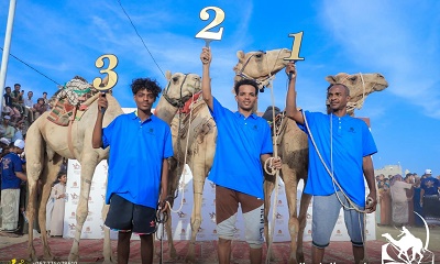 تنظيم باهر واختتام رائع .. تريم تشهد أكبر سباق للهجن باليمن