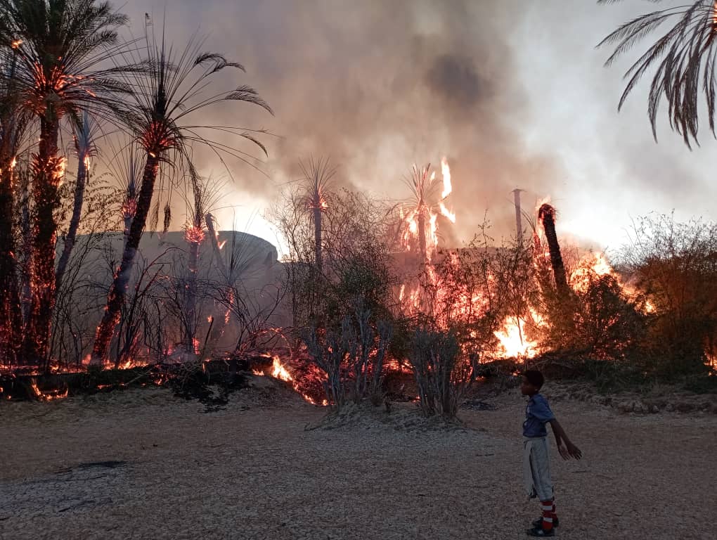 حريق هائل يلتهم أكثر من 150 نخلة في مديرية ساه بمحافظة حضرموت