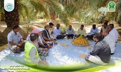 مدير عام الزراعة بالوادي يقوم بزيارة ميدانية إلى مزرعة النخيل النموذجية بسيئون