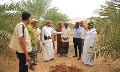 ضمن الأنشطة المصاحبة لفعاليات مهرجان النخيل والتمور بوادي وصحراء حضرموت… مدير عام مكتب الزراعة والري يزور مديرية شبام