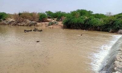 غرق شاب في مضعلة بن سهيل بمديرية تريم