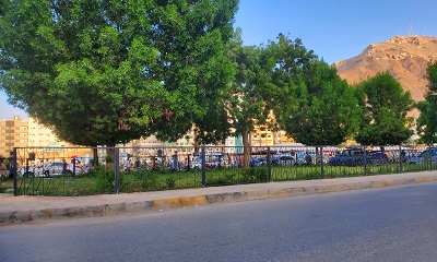 السلطة المحلية بالمكلا تنفذ مشروع حماية الجزر الوسطية والأحواض الزراعية بغار لحمر