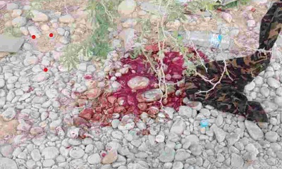 أمن غيل باوزير يكشف ملابسات جريمة قتل في شحير