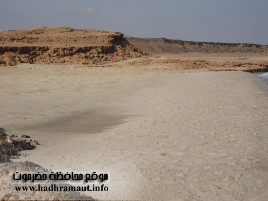 محمية لتوالد السلاحف بشرمة 