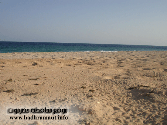 محية لتوالد السلاحف بشرمة 