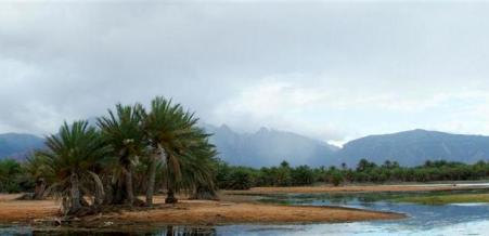 المحافظ هاجر يطلع على نتائج زيارة وفد الهيئة العربية للاستثمار والإنماء الزراعي لجزيرة سقطرى