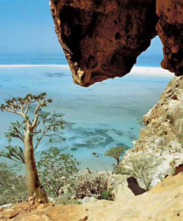 30مليون دولار لإنشاء ميناء سقطرى بتمويل من الصندوق الكويتي