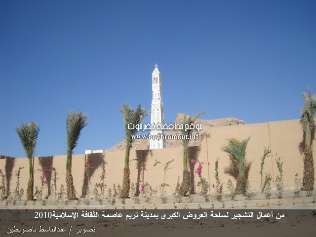 من أعمال التشجير لساحة العروض الكبرى بمدينة تريم عاصمة الثقافة الإسلامية 2010