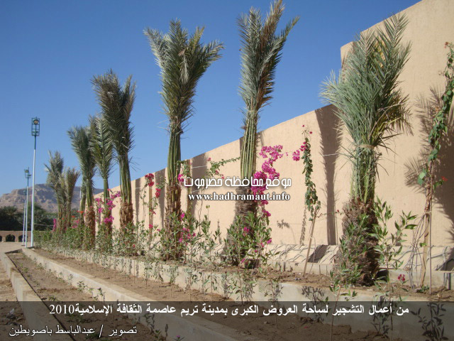 من أعمال التشجير لساحة العروض الكبرى بمدينة تريم عاصمة الثقافة الإسلامية 2010