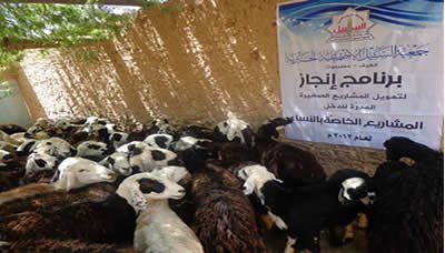 تمويل 20 مشروعا صغيرا مدرا للدخل بتكلفة 3 ملايين و 300 ريال في مديرية تريم