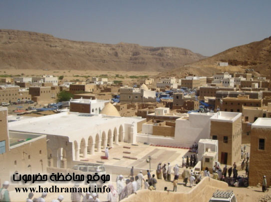 منظر عام للمدينة ومسجد باعباد