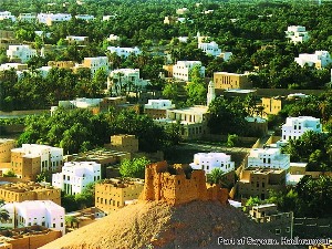 1000 youths of different nationalities to visit Yemen  