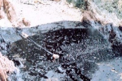 Cabinet approves international agreement for combating oil pollution 