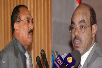 Saleh, Zenawi assert significance of int'l move to end piracy 