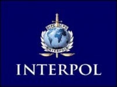 Interpol-wanted fugitive arrested in Yemen 