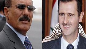 Saleh, Al-Asad discuss Israeli genocide on Gaza Israeli 