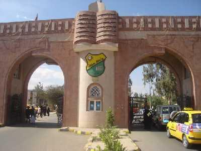 Yemeni-Saudi cooperation on information technology at universities