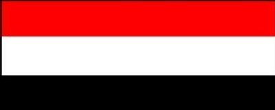 Yemen to take part in emergency summit in Doha 