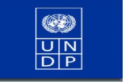 Yemen, UNDP discuss support for fishery sector 
