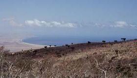 Kuwait funds community college in Socotra at $10 mln 