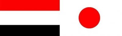 Yemen, Japan discuss historical places conservation in Hadramout 