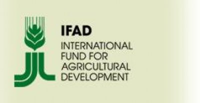 Yemen, IFAD discuss rural development in Mahrah