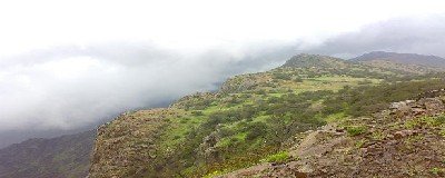Meteorology warns of heavy rains accompanied by thunderstorms over the next 48 hours